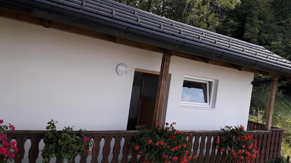Apartmaji Gorenc Bled Zewnętrze zdjęcie