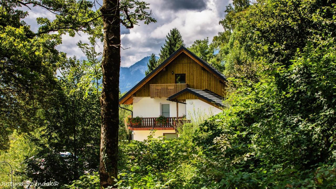Apartmaji Gorenc Bled Zewnętrze zdjęcie